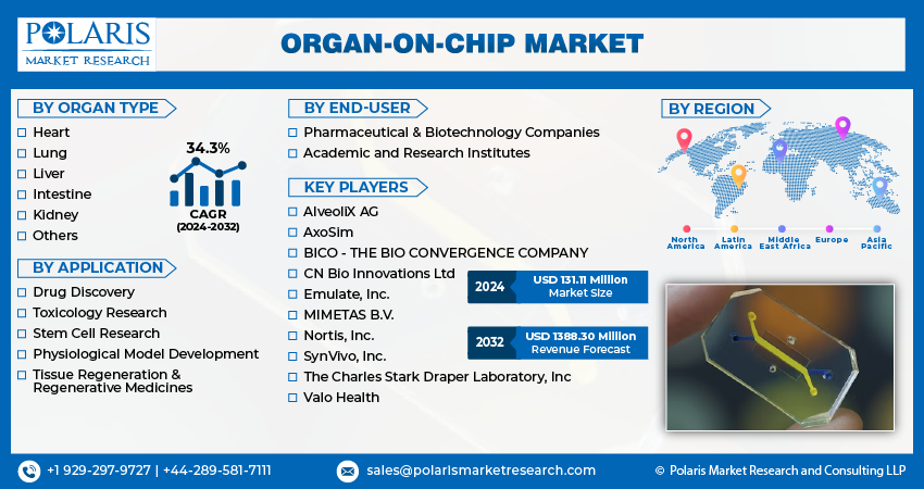  Organ-On-Chip